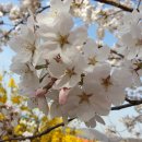 능안농장 이미지