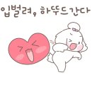 샤랄라헤어 네이버블로그