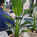 동진중학교 이미지