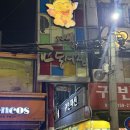 무교동서린낙지 | 교동횟집 추천, 로컬맛집 "삼미횟집" 활어모듬회 후기