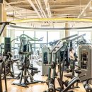 휘트니스 풀바디 이미지