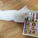 운동끝났으니 집가서 배달시켜묵어야지 이미지