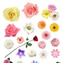 스티커포토샵 이미지