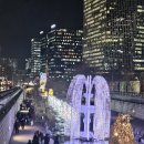 기쁨행정사사무소 | 미국 연금 이름 변경부터 배우자 수령까지, 첩첩산중 해결 후기