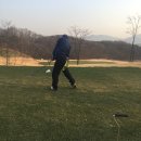 지빠 Daum카페