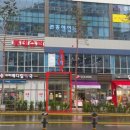 에이플동물병원 이미지