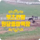 운용목장 이미지