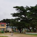 흥해서부초등학교 네이버블로그