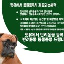 펫유동물병원 | 반려동물등록, 반려동물등록은 펫유에서!