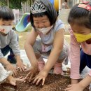 꼬마코끼리가는길 이미지