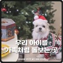 베버리 독스 이미지