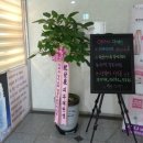 한나피부관리실