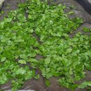 부림농장 이미지