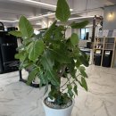 정감피트니스 헬스&PT 이미지