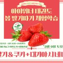 도남 아이위너 태권도장 이미지