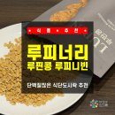 콩대박 | 식물성단백질 대폭발! 루핀콩 루피니빈으로 콩밥부터 두유만들기까지 대박 후기 (feat. 단백질많은음식...