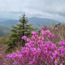 좋은세상 이미지