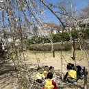 경화어린이집 이미지