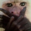 플레이카방 이미지