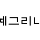 예그리나쇼핑
