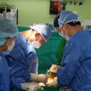 오늘부터 日本語?내일부터 日本GO 이미지