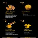 (주)커큐민하우스