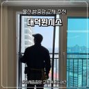 대덕 | 울산 방충망교체 대덕윈시스 울산점 미세촘촘망 내돈내산후기