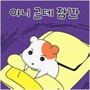 [아트센터달][할인]추억의 청춘 하모니카(수)19:00 | 2025년 상반기 과몰입 작품 | 내가 과몰입을 하는 이유