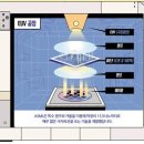 네덜란드 ASML 이미지