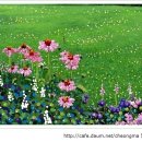 시문학강의 이미지