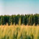 청량농장 이미지