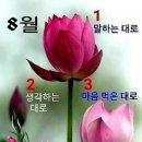 행복한하루 이미지