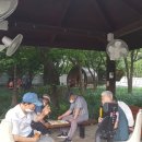 시청앞 공원 이미지