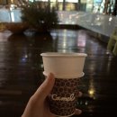 카멜무역 이미지