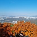 엠큐네트웍스(주) 이미지