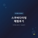 다이빙맛 | 스쿠버다이빙 체험 후기 - 자격증 없이도 가능한가요?