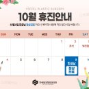 필성형외과 네이버블로그