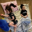 용인대백상태권도 이미지