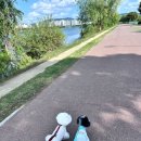 B&B(바비브라운 비숑프리제) | 울산남구애견유치원 고민 끝에 선택한 바비브라운, 비숑프리제 산책 후기 🐶