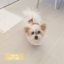나봄스파 이미지