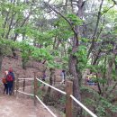 장학리노루목길(봄내길 8코스) 이미지