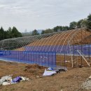 행복한 농원 이미지