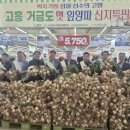 해풍 이미지