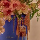 호텔하이앤드 이미지