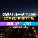 천안제일공인중개사사무소 이미지