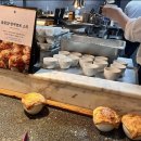 지엔소프트 | 씨푸드뷔페 마키노차야 판교점 평일 런치후기