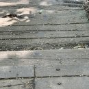 수원칠보산 계단 이미지
