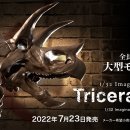 트리케라톱스-1 네이버블로그