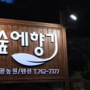 숲에향기 이미지