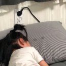 문성농장 | 241013 젠가🧡 | 죽어도 못보내 문성퀴스&amp;범몬티 최애페어막 ᵕ‧̯ᵕ̥̥✨
